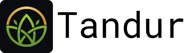 Basin Logo